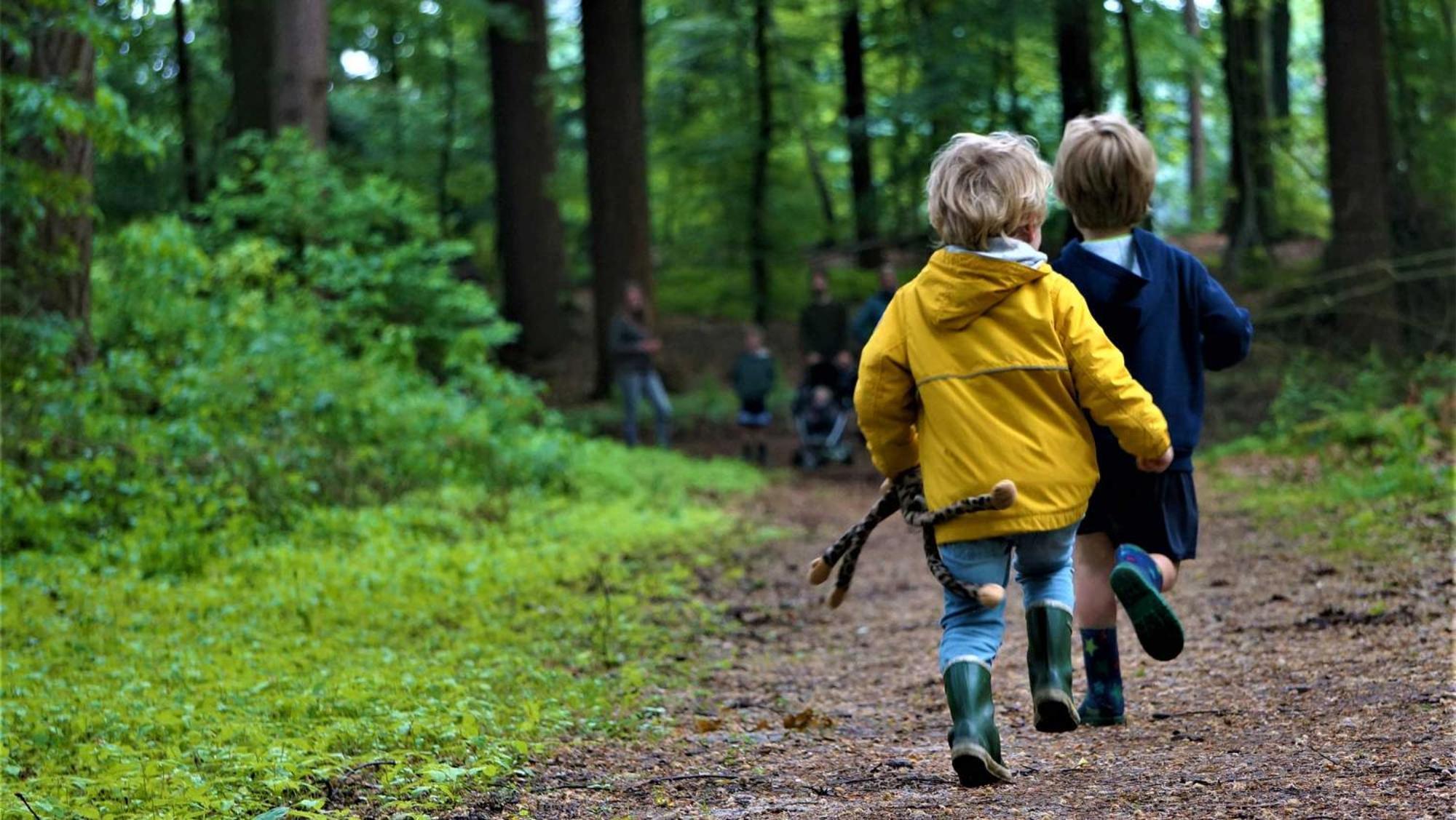 Molecaten Park De Leemkule Hattem Bagian luar foto