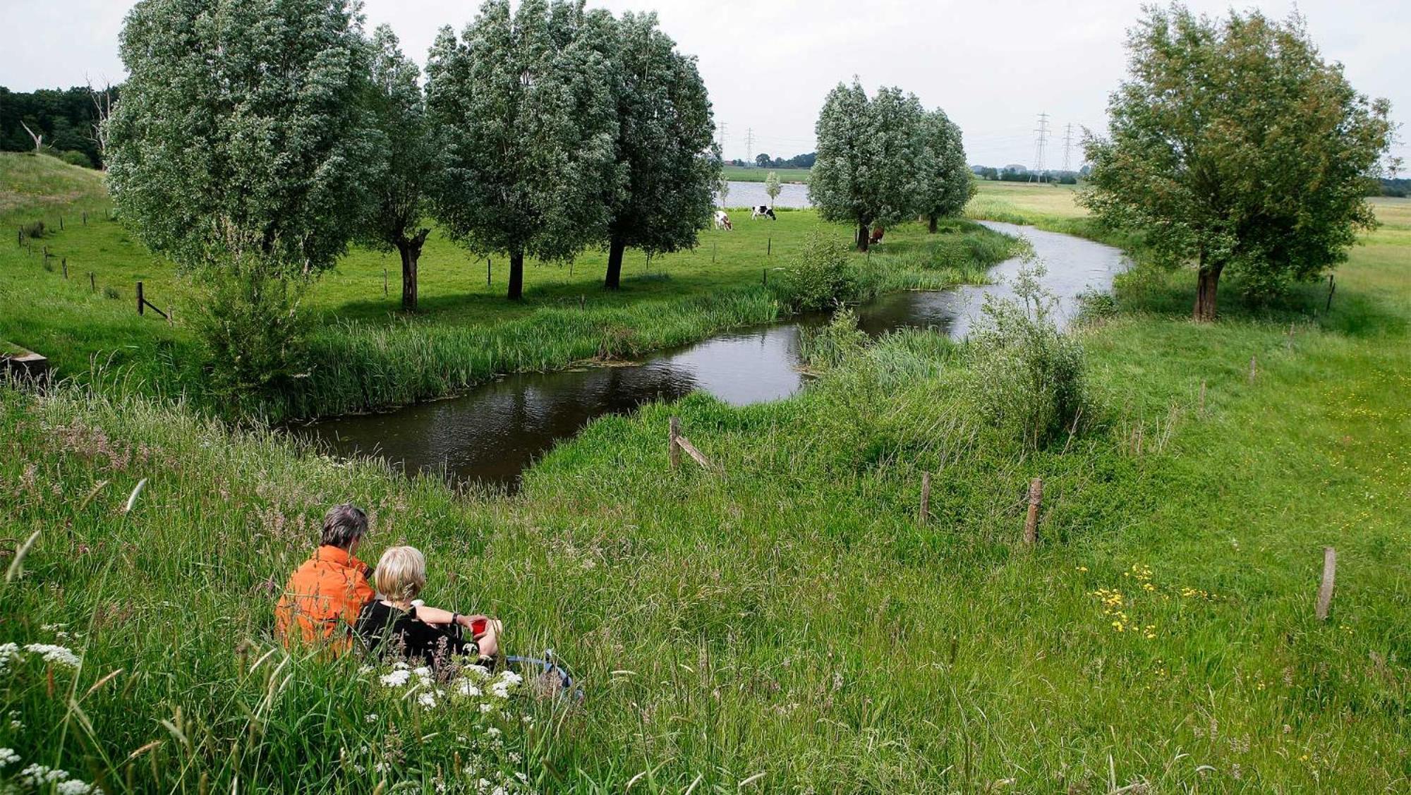 Molecaten Park De Leemkule Hattem Bagian luar foto