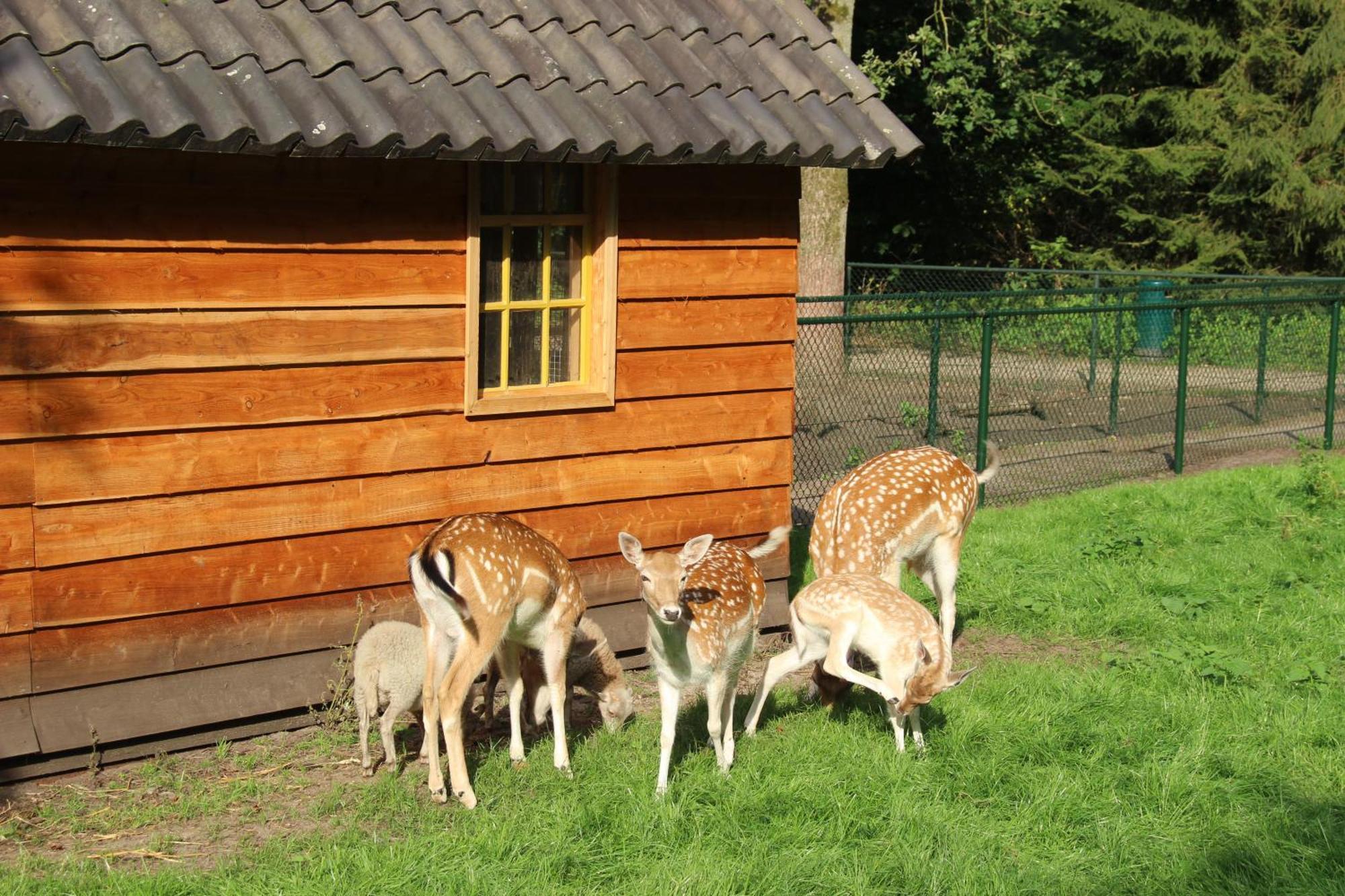 Molecaten Park De Leemkule Hattem Bagian luar foto