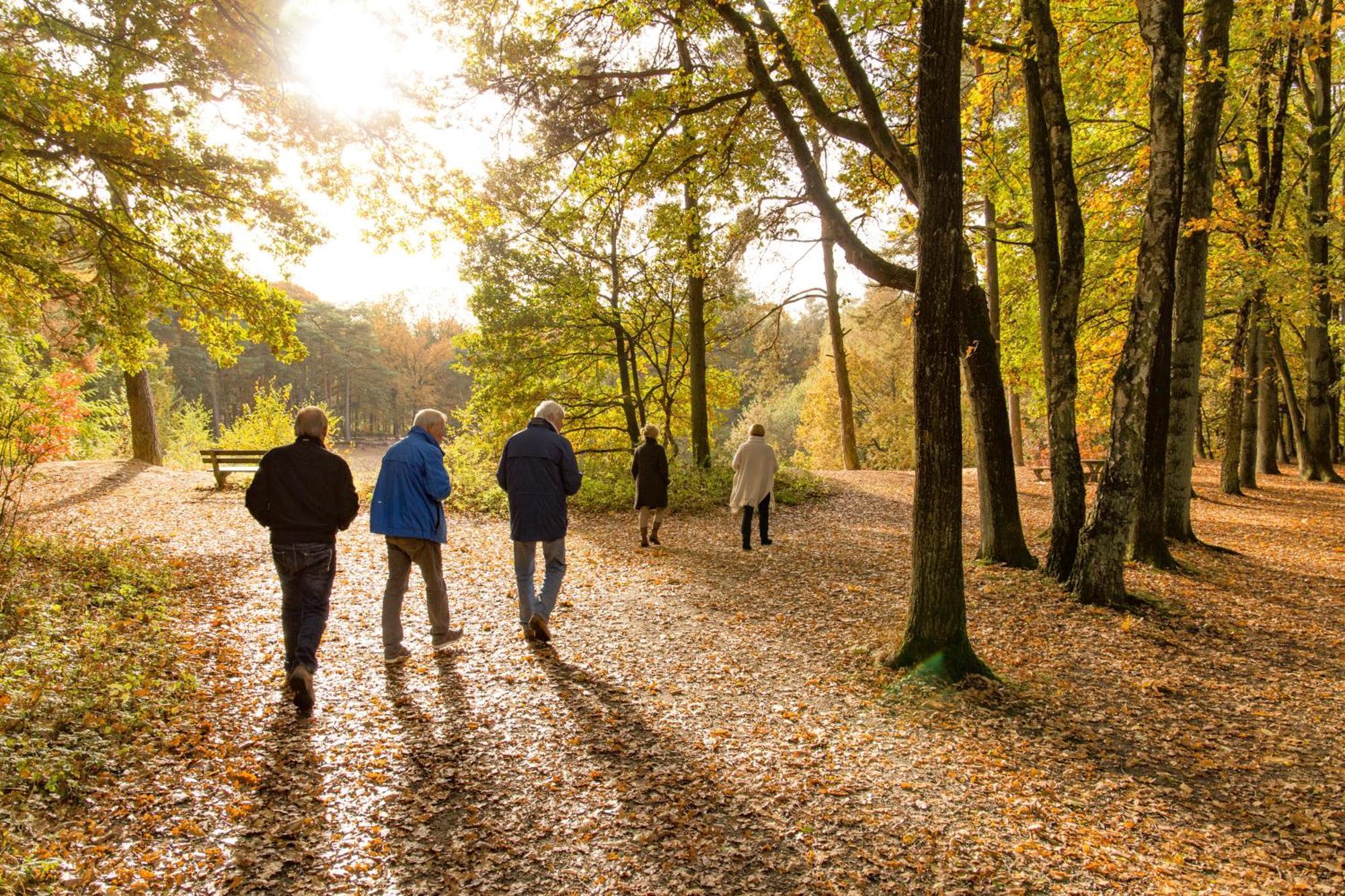Molecaten Park De Leemkule Hattem Bagian luar foto
