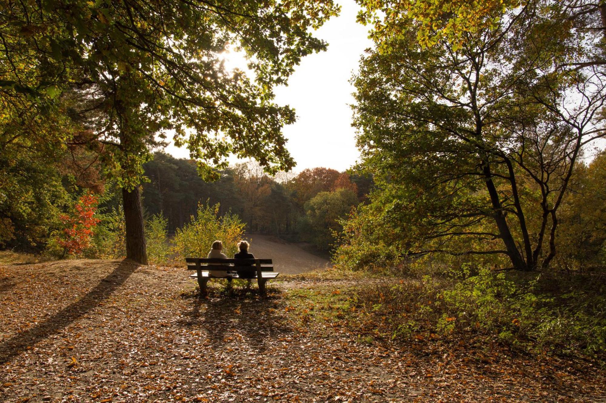 Molecaten Park De Leemkule Hattem Bagian luar foto