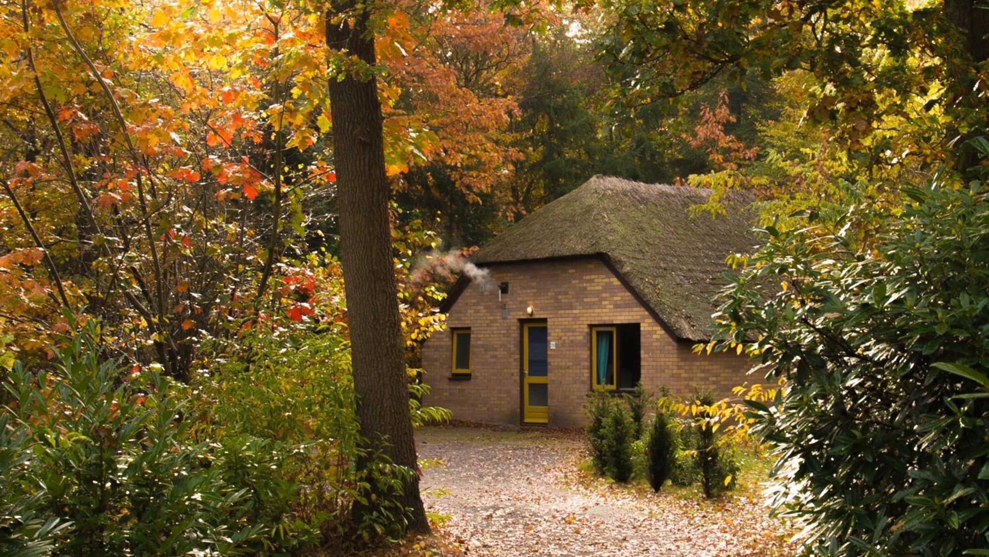 Molecaten Park De Leemkule Hattem Ruang foto