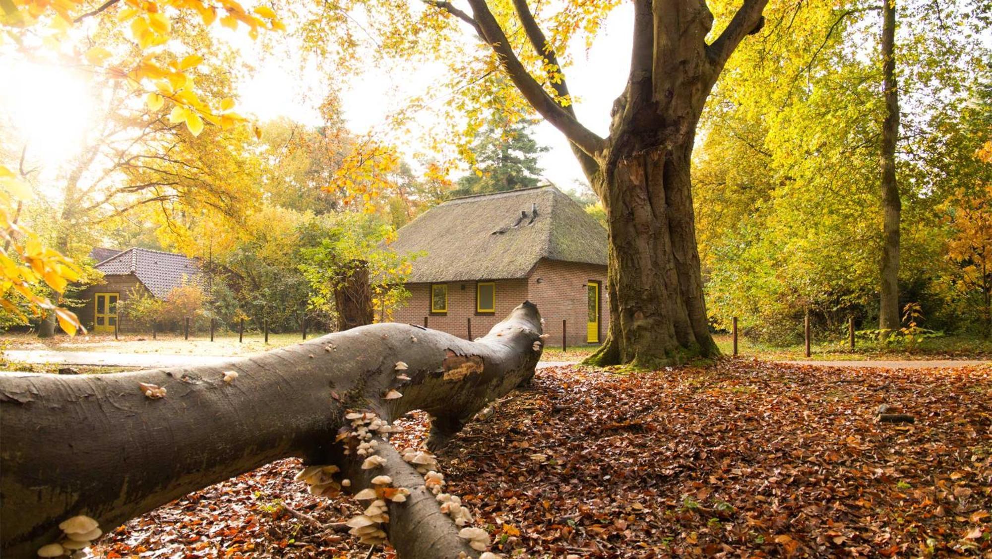 Molecaten Park De Leemkule Hattem Ruang foto
