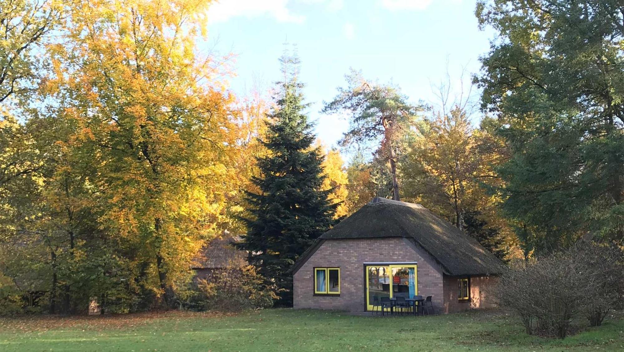 Molecaten Park De Leemkule Hattem Ruang foto