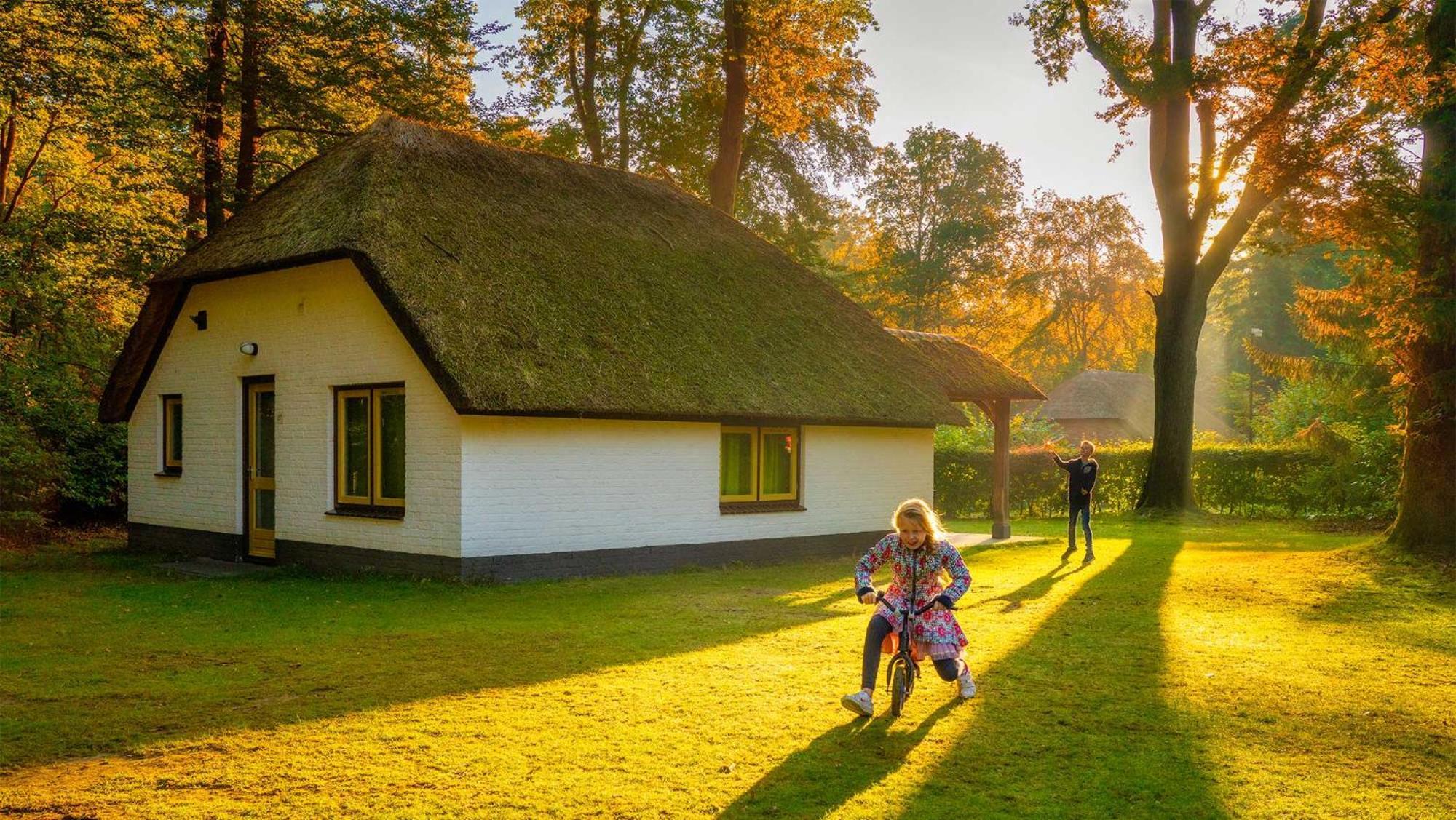 Molecaten Park De Leemkule Hattem Ruang foto