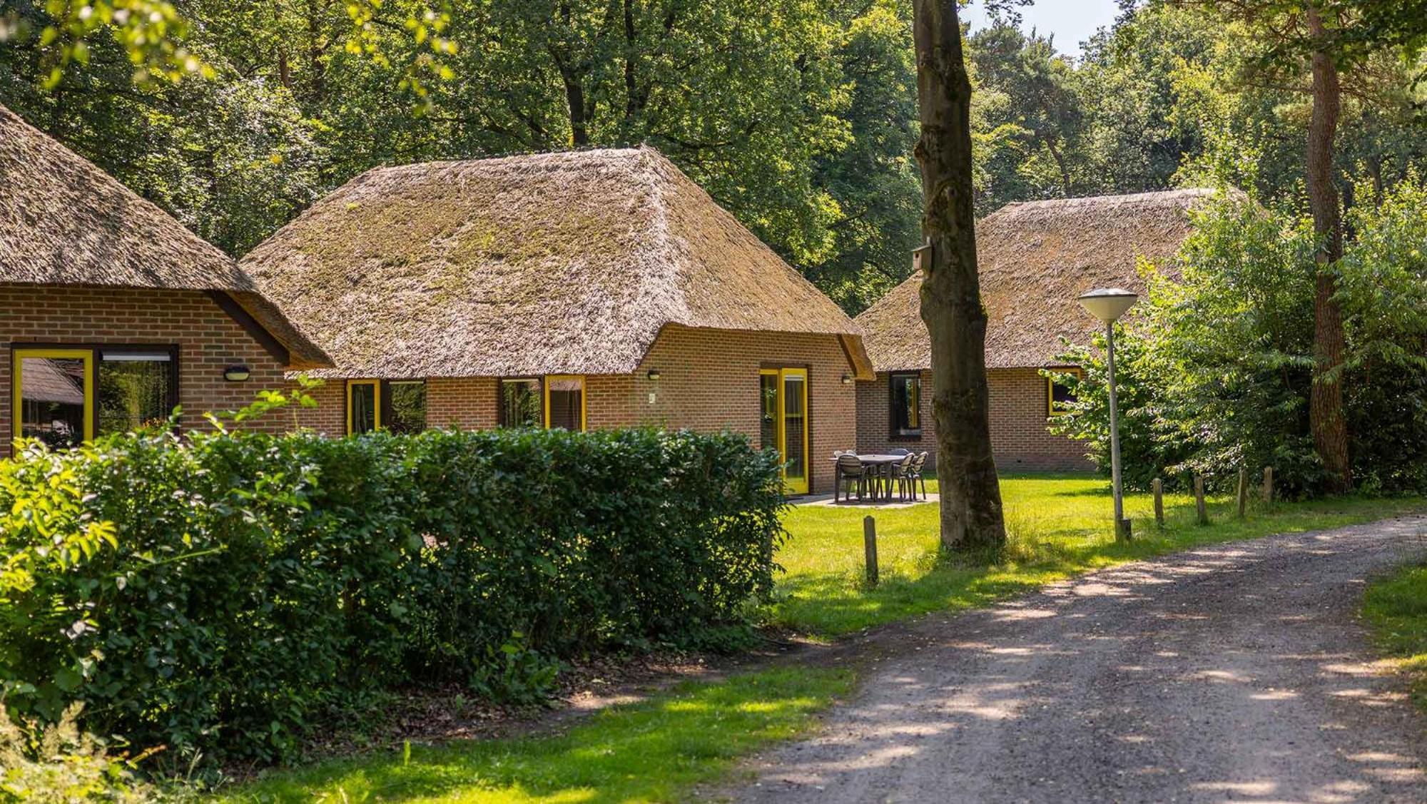 Molecaten Park De Leemkule Hattem Bagian luar foto