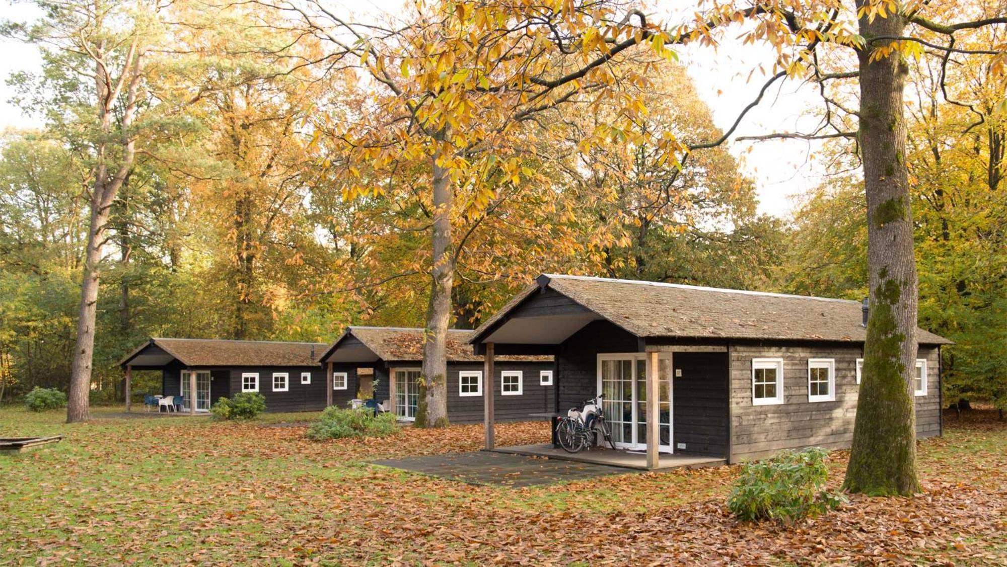 Molecaten Park De Leemkule Hattem Ruang foto