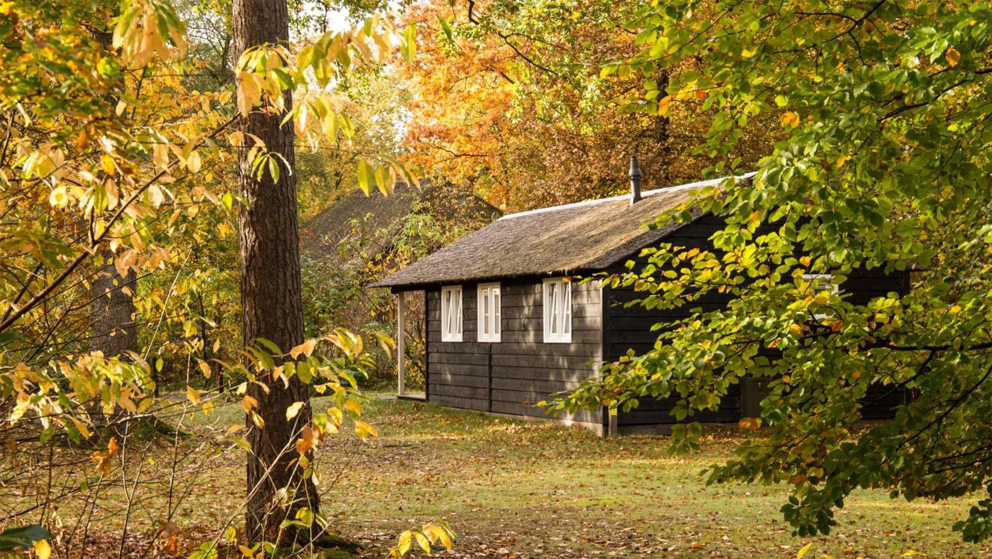 Molecaten Park De Leemkule Hattem Ruang foto