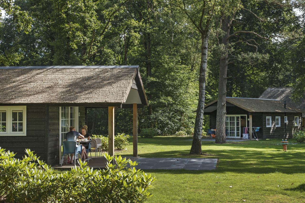 Molecaten Park De Leemkule Hattem Bagian luar foto