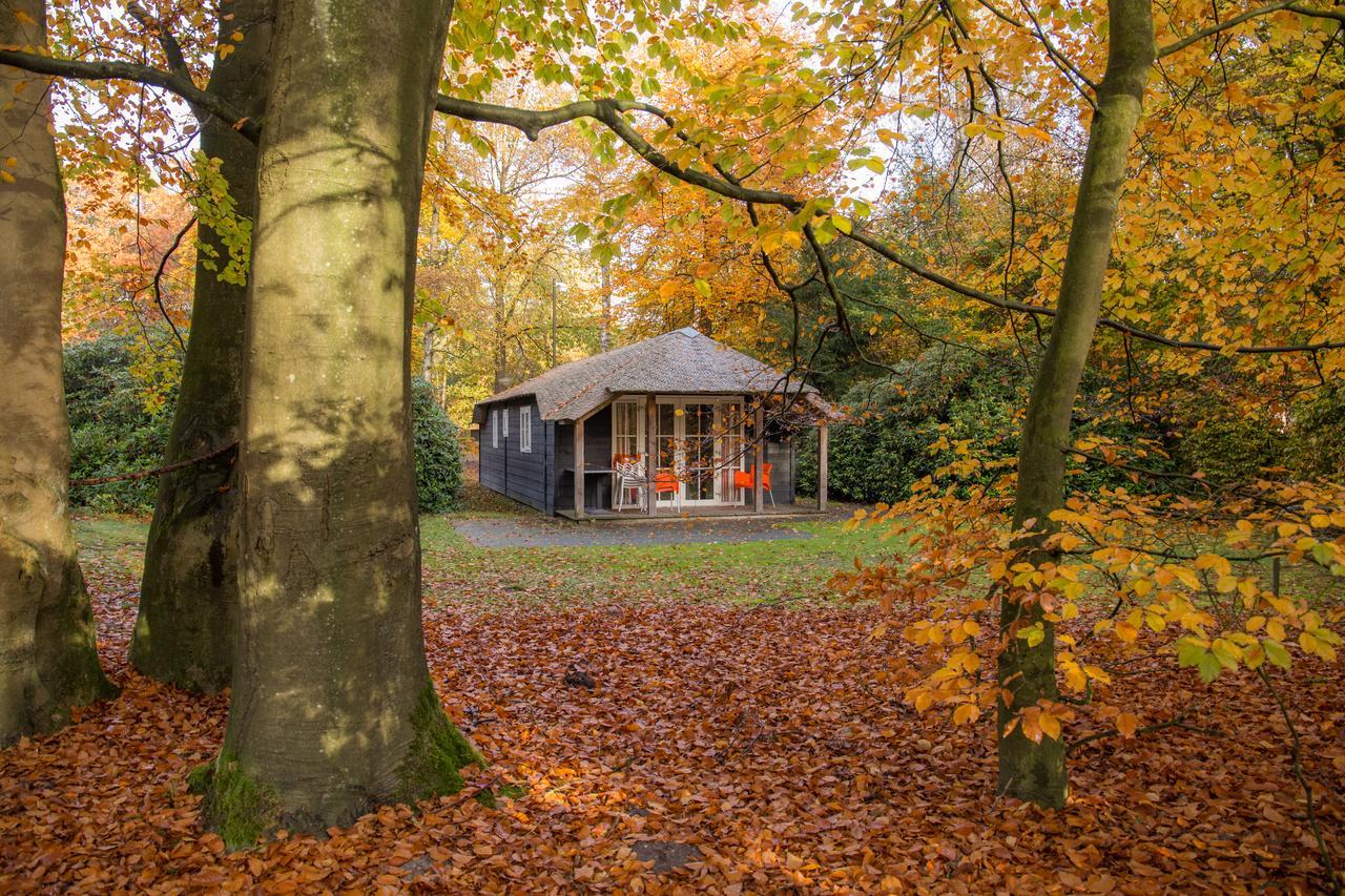 Molecaten Park De Leemkule Hattem Bagian luar foto